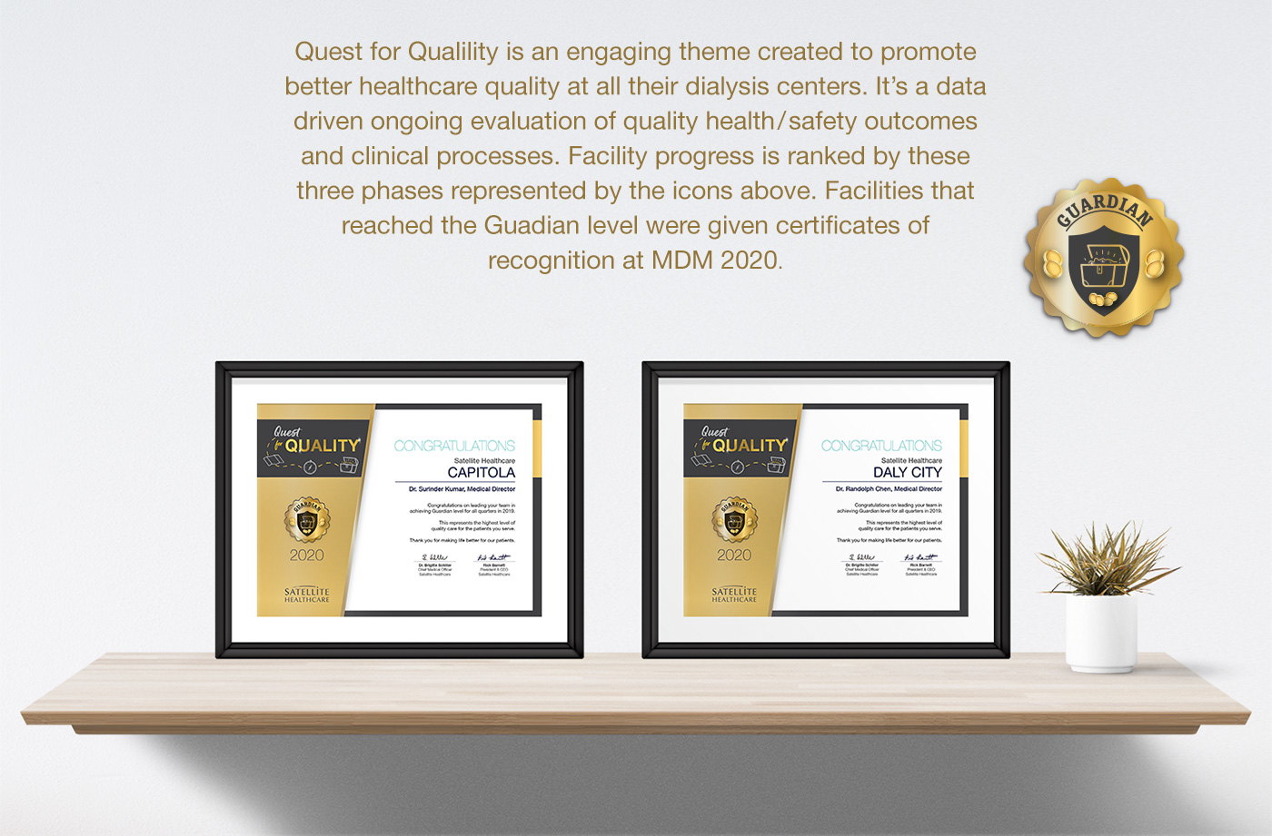 Satellite Healthcare Quest for Quality — Voyager Level